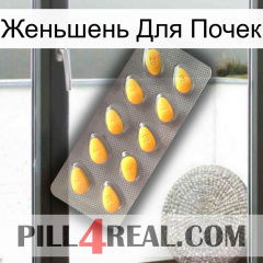 Женьшень Для Почек cialis1